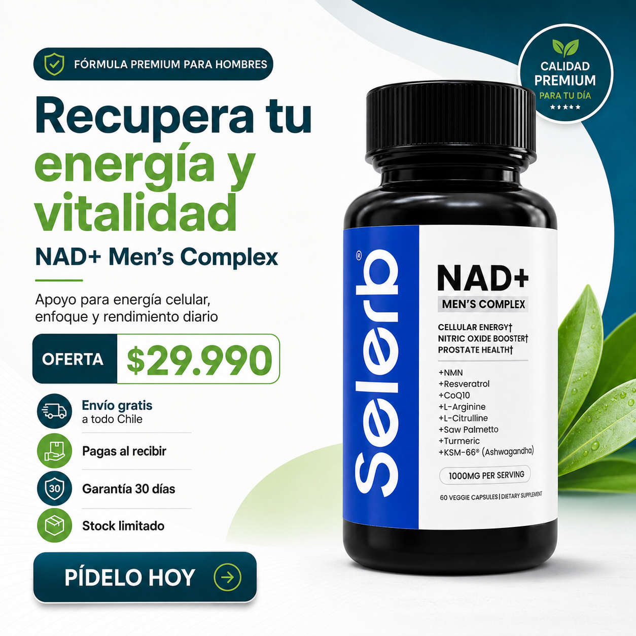 SELERB NAD+  Complex-“Recupera tu energía y vitalidad masculina para rendir mejor cada día.”